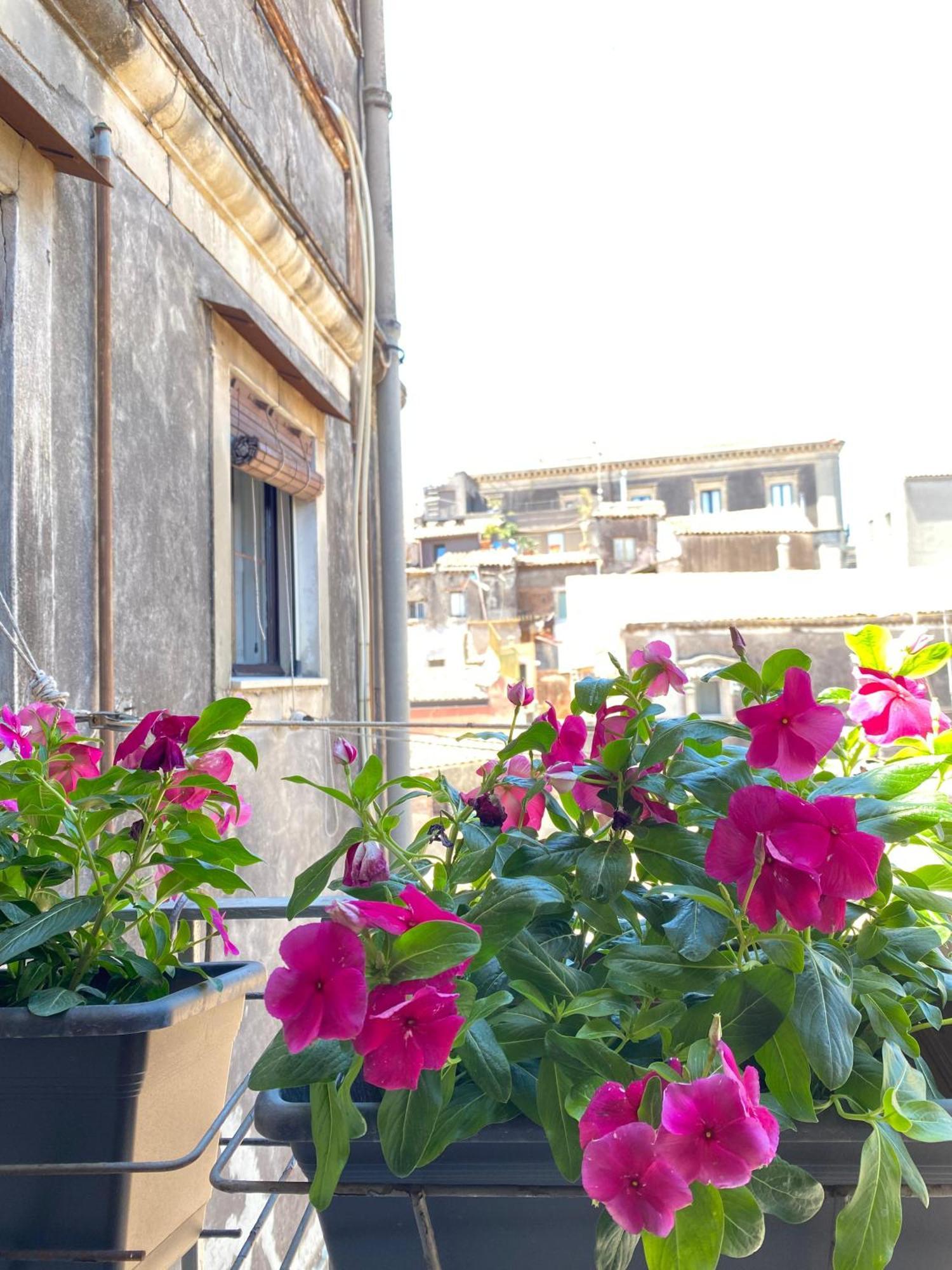 Dimora Dei Minoriti Bed & Breakfast Katanya Dış mekan fotoğraf